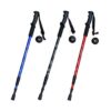 Trekové teleskopické hole ALYANG 1kus